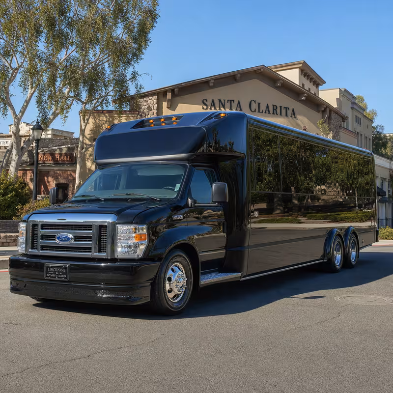 15 Passenger Party Bus