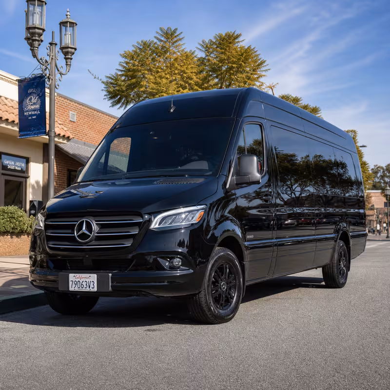 14 Passenger Sprinter Limo